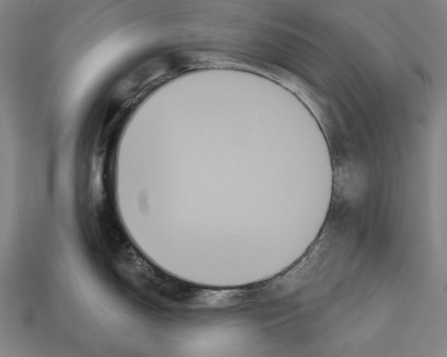 X0000113061150200909250903