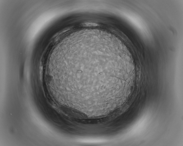 X0000113061151200909250903