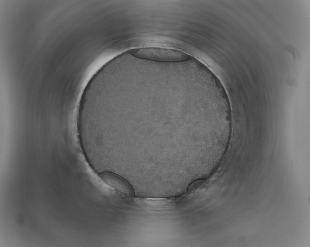 X0000113061152200909250903