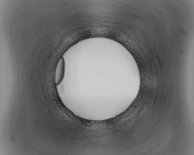 X0000113061153200909250903