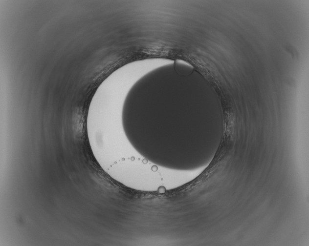 X0000113061154200909250903