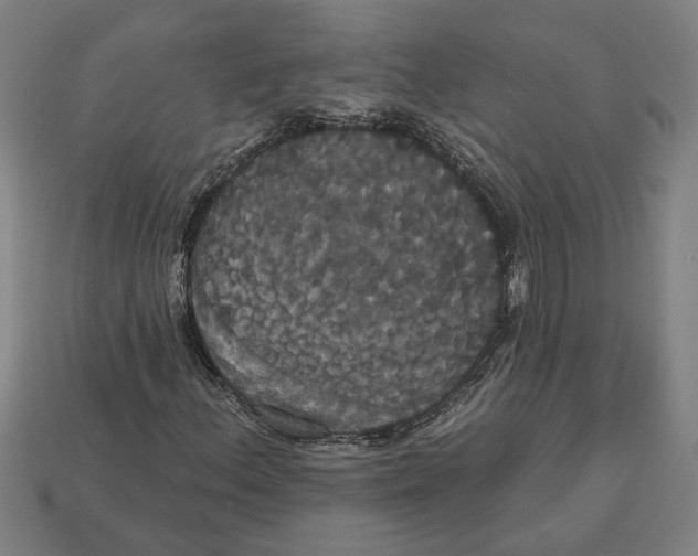 X0000113061156200909250903