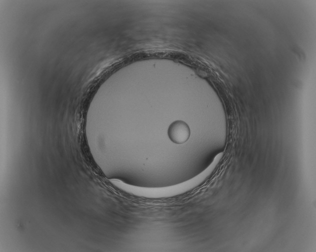 X0000113061157200909250903