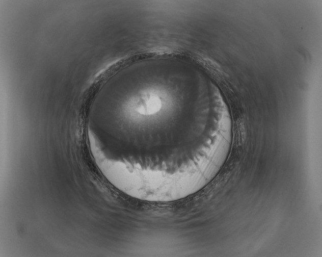 X0000113061158200909250903