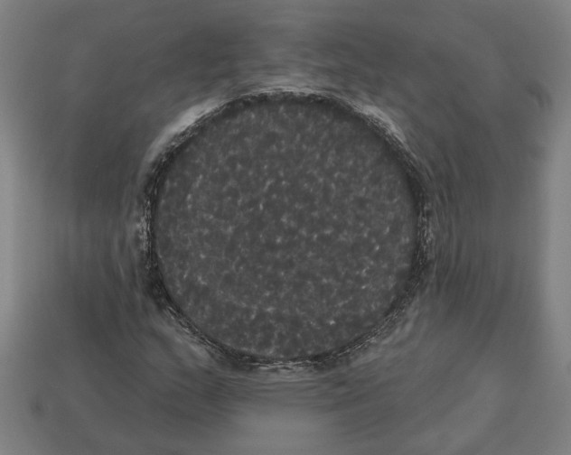 X0000113061159200909250903