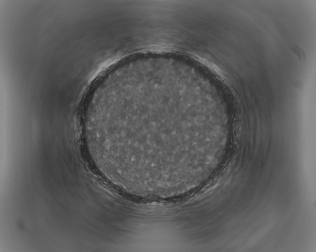 X0000113061160200909250903