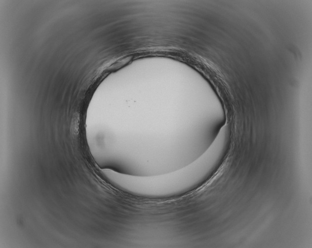 X0000113061161200909250903