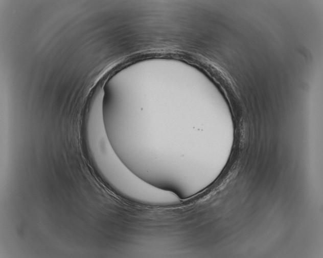 X0000113061162200909250903