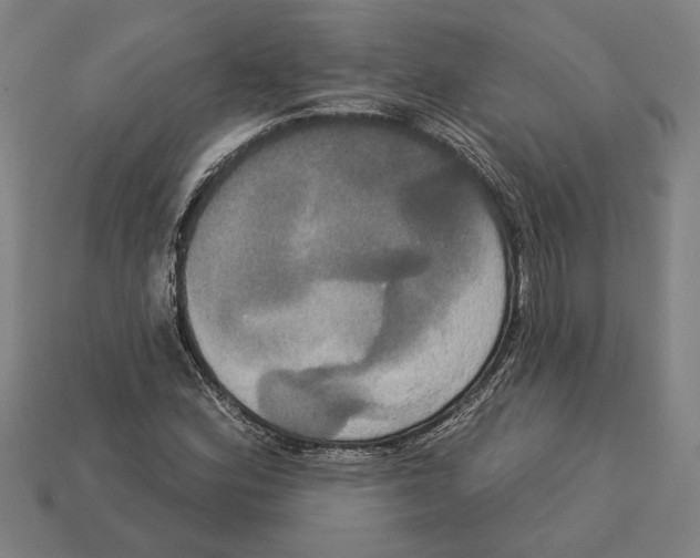 X0000113061164200909250903