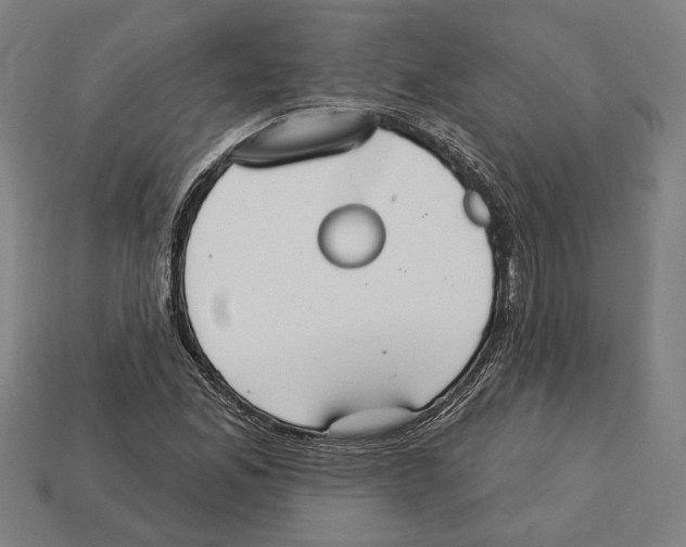 X0000113061165200909250903