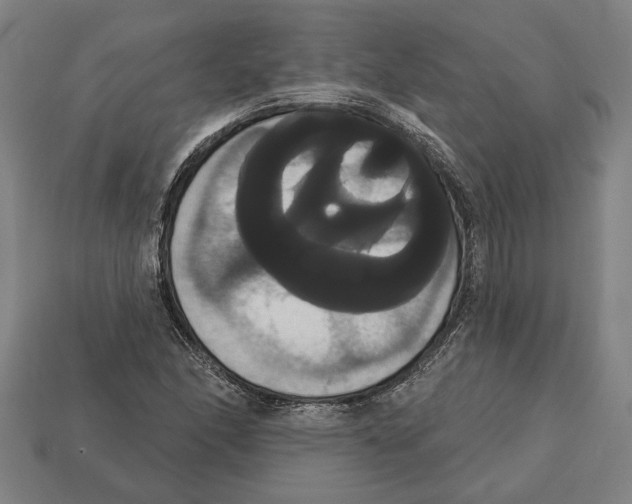 X0000113061166200909250903