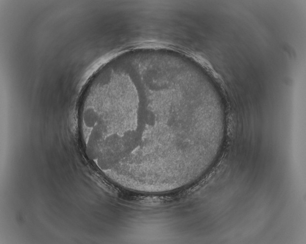 X0000113061167200909250903