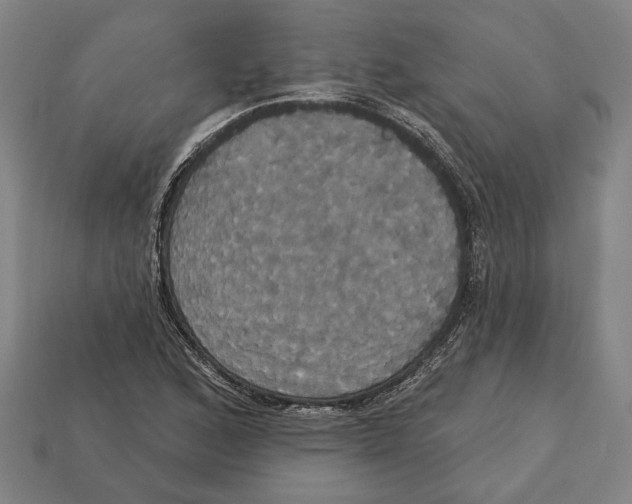 X0000113061168200909250903