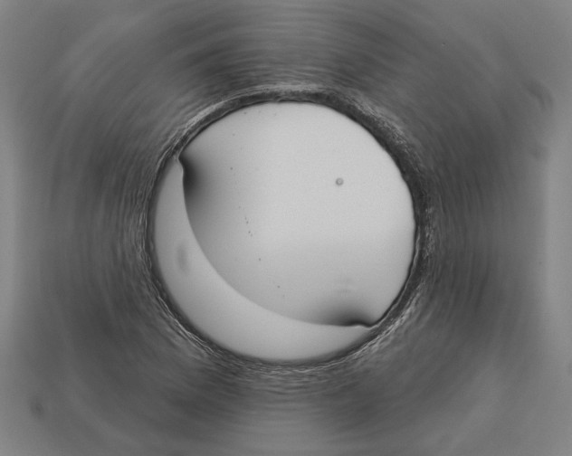 X0000113061169200909250903