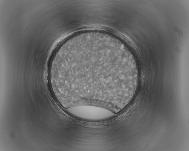 X0000113061172200909250903