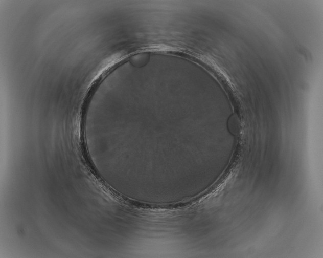 X0000113061173200909250903