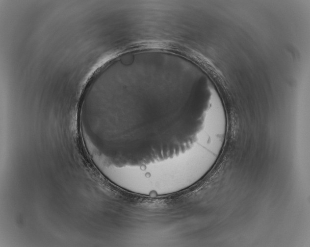 X0000113061174200909250903