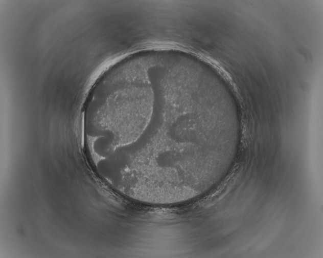 X0000113061175200909250903