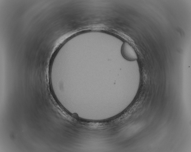 X0000113061176200909250903