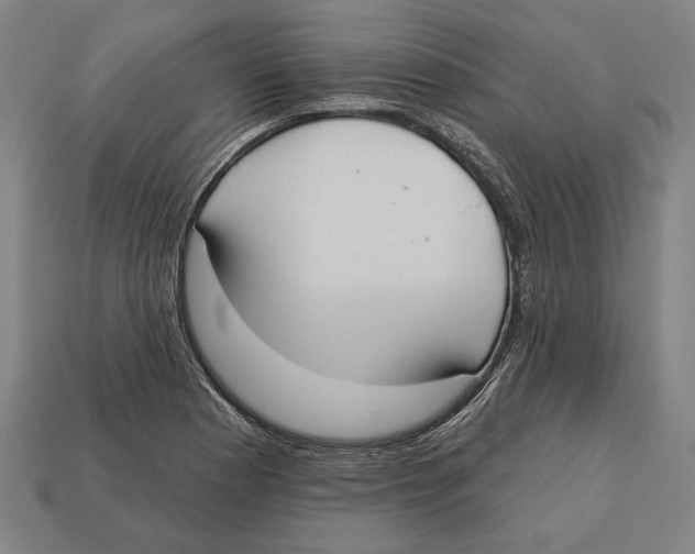 X0000113061177200909250903