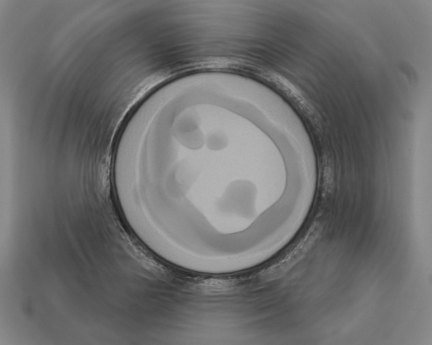 X0000113061178200909250902