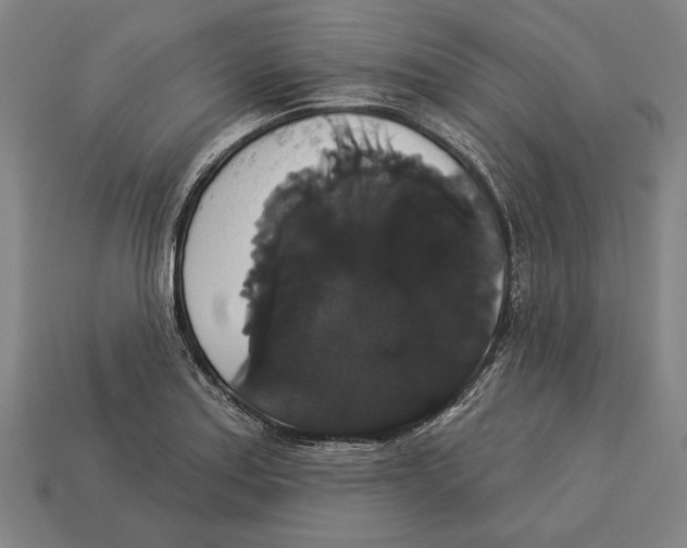 X0000113061179200909250902