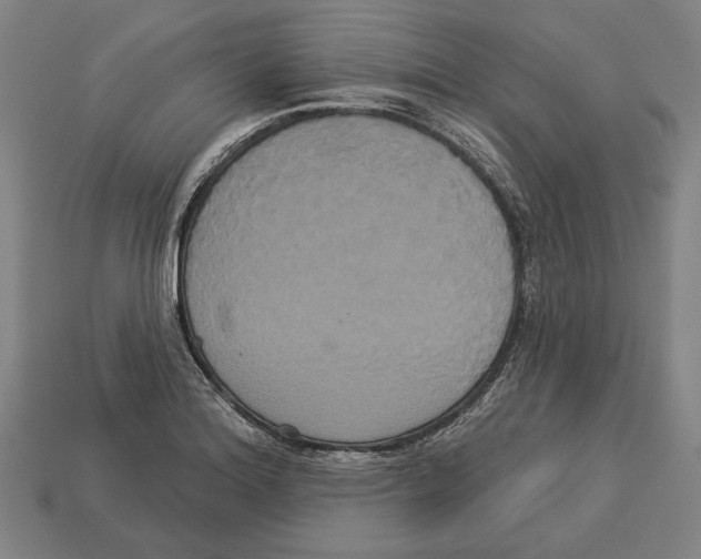 X0000113061180200909250902