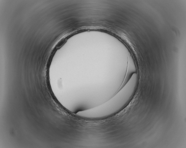 X0000113061181200909250902