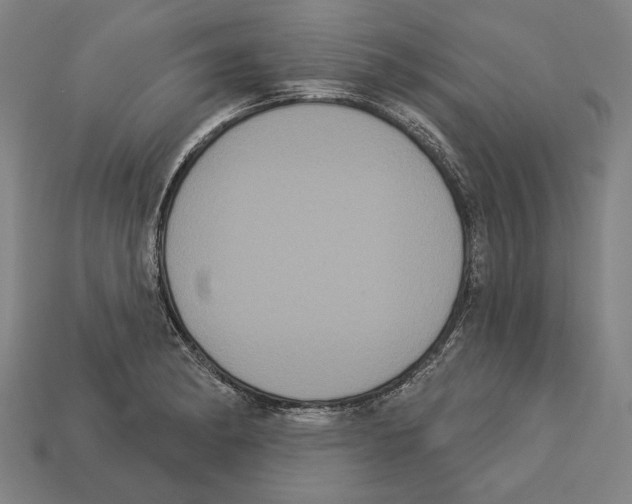 X0000113061182200909250902