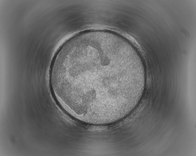 X0000113061183200909250902