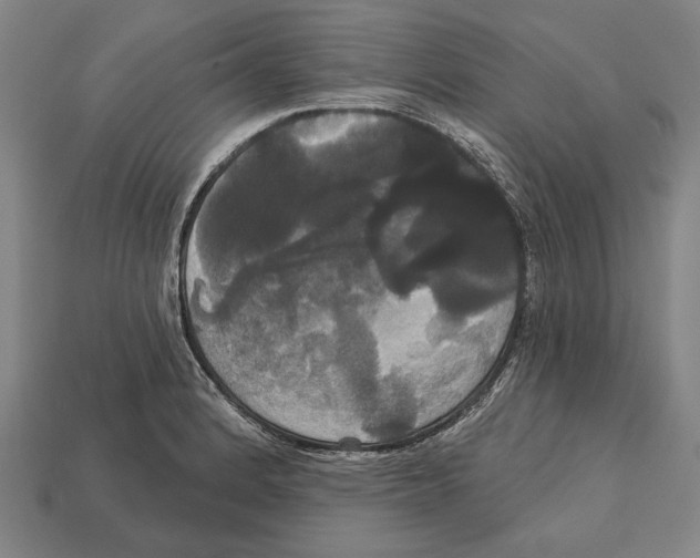 X0000113061184200909250902