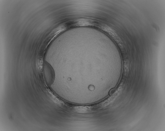 X0000113061185200909250902