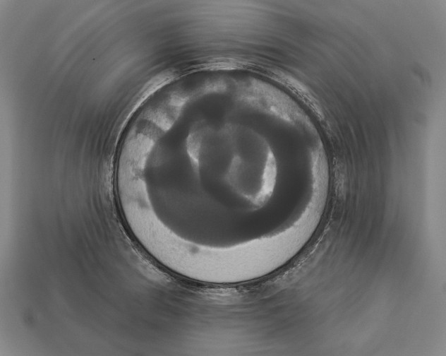 X0000113061186200909250902