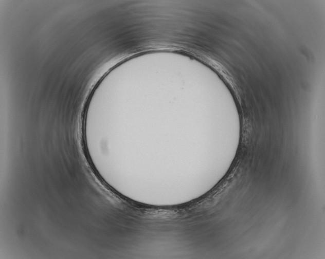 X0000113061187200909250902