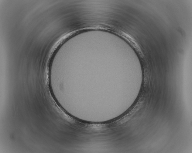 X0000113061188200909250902