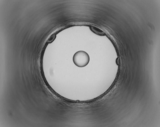 X0000113061189200909250902