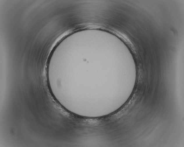 X0000113061190200909250902