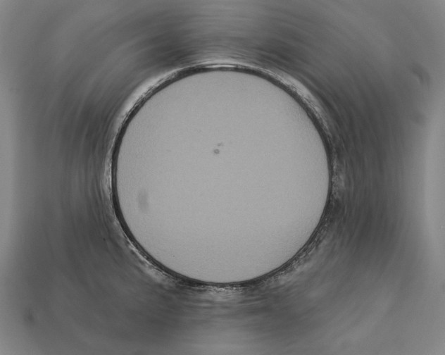 X0000113061191200909250902