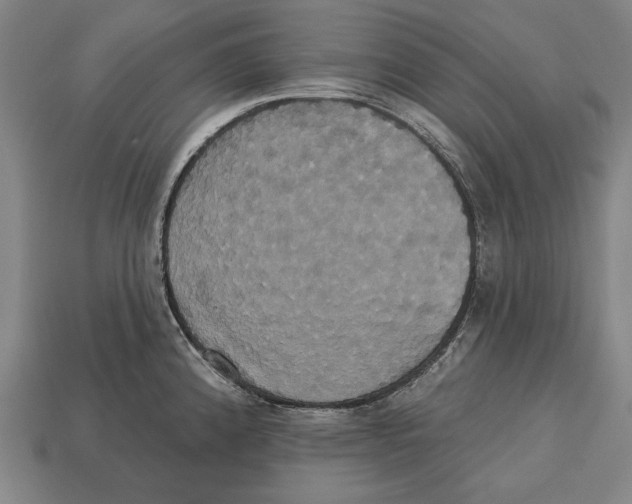 X0000113061192200909250902