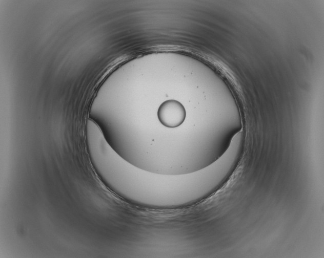 X0000113061193200909250902