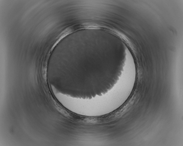 X0000113061194200909250902