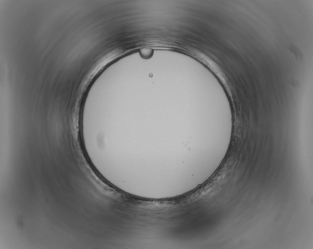 X0000113061195200909250902