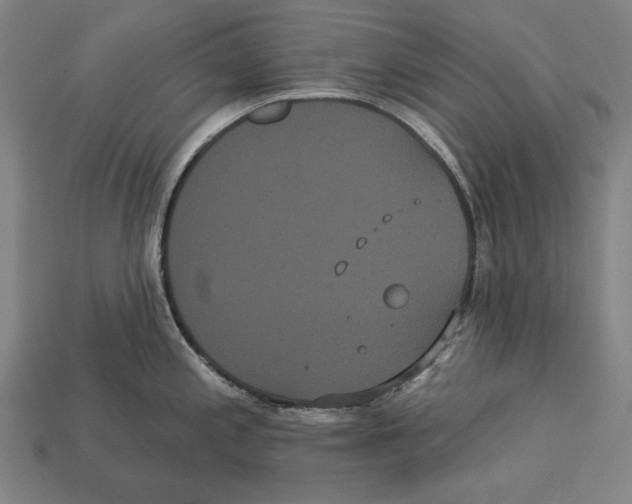 X0000113061197200909250902