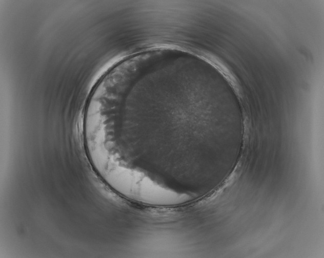 X0000113061198200909250902