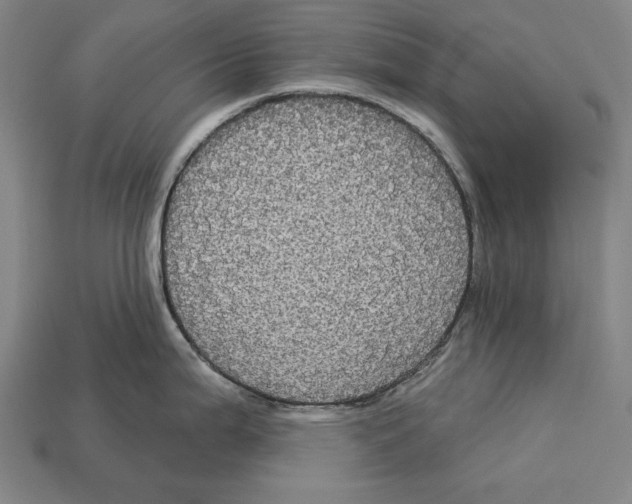 X0000113061199200909250902