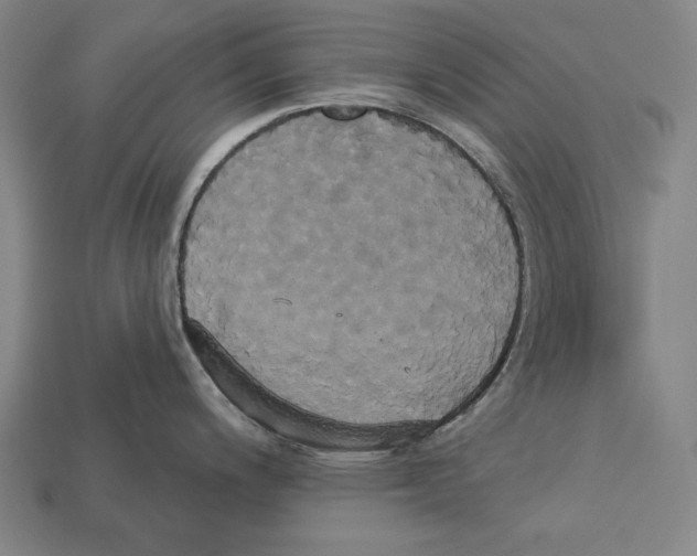 X0000113061200200909250902