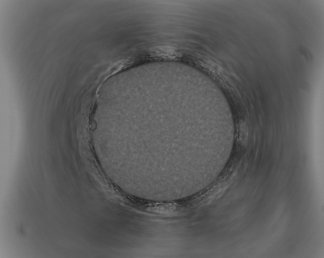 X0000113061201200909250901