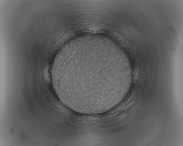 X0000113061202200909250901