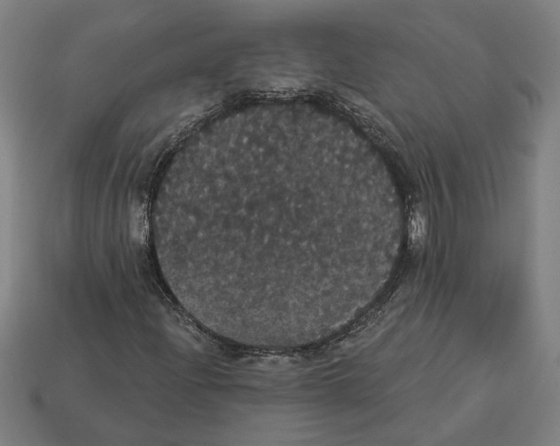 X0000113061204200909250901