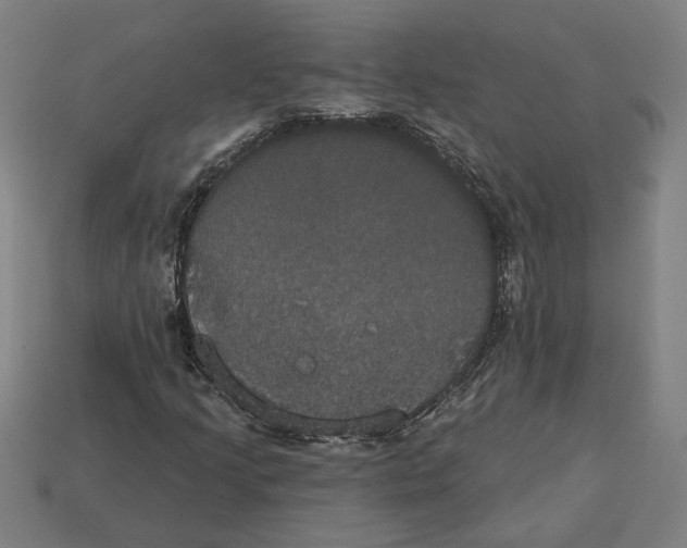 X0000113061205200909250901